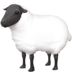 :sheep: