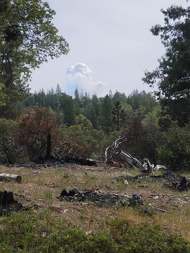 IMG_20260409_115710428