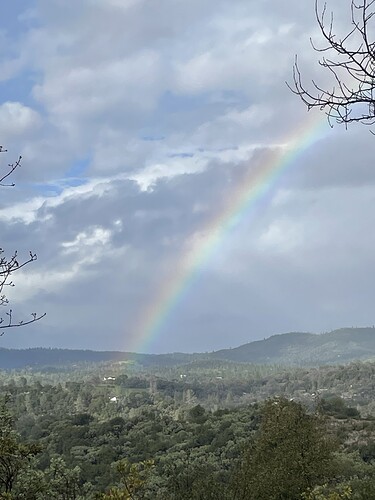 Feb storm (Rainbow)