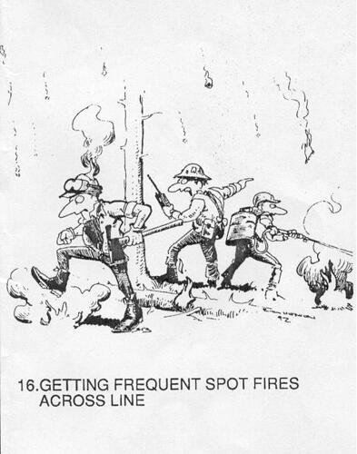 16 freq spot fires