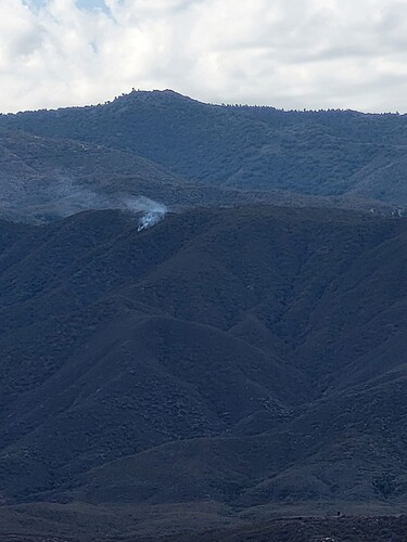 IMG_8291