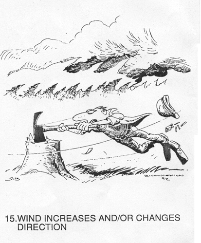 15 wind increase