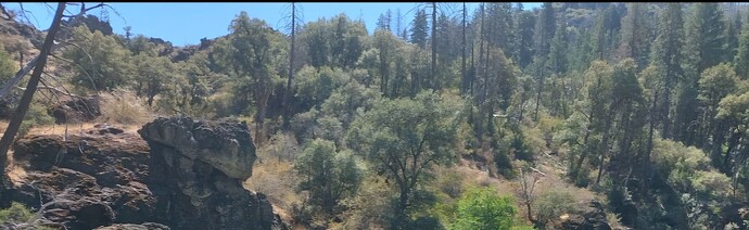 Screenshot_20250825_222234_Gallery