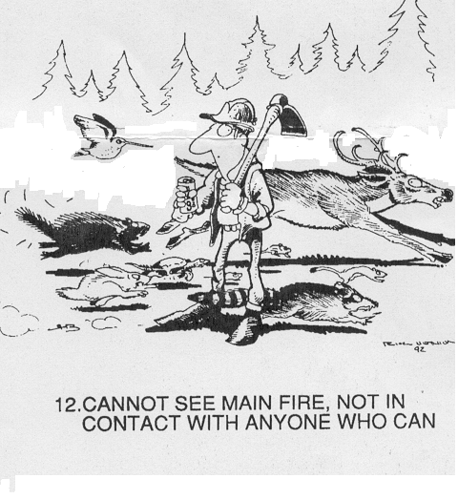 12 cant see fire