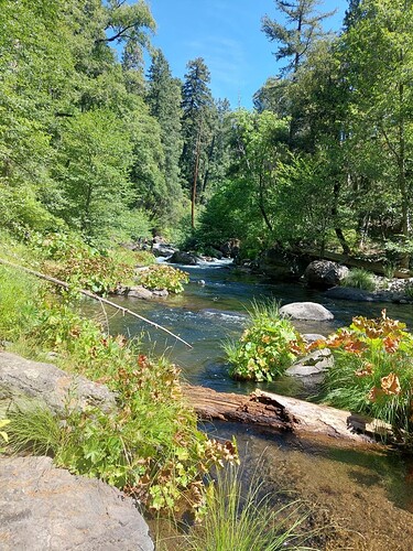 Screenshot_20250825_222734_Gallery