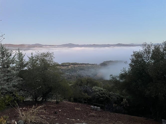 Fog covering Sonora