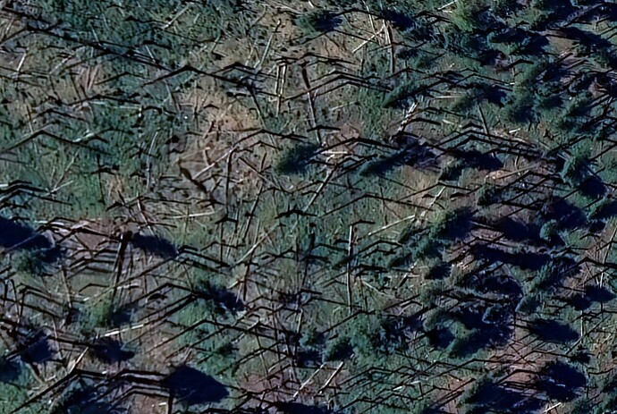 Screenshot 2025-07-31 at 10.03.57 AM