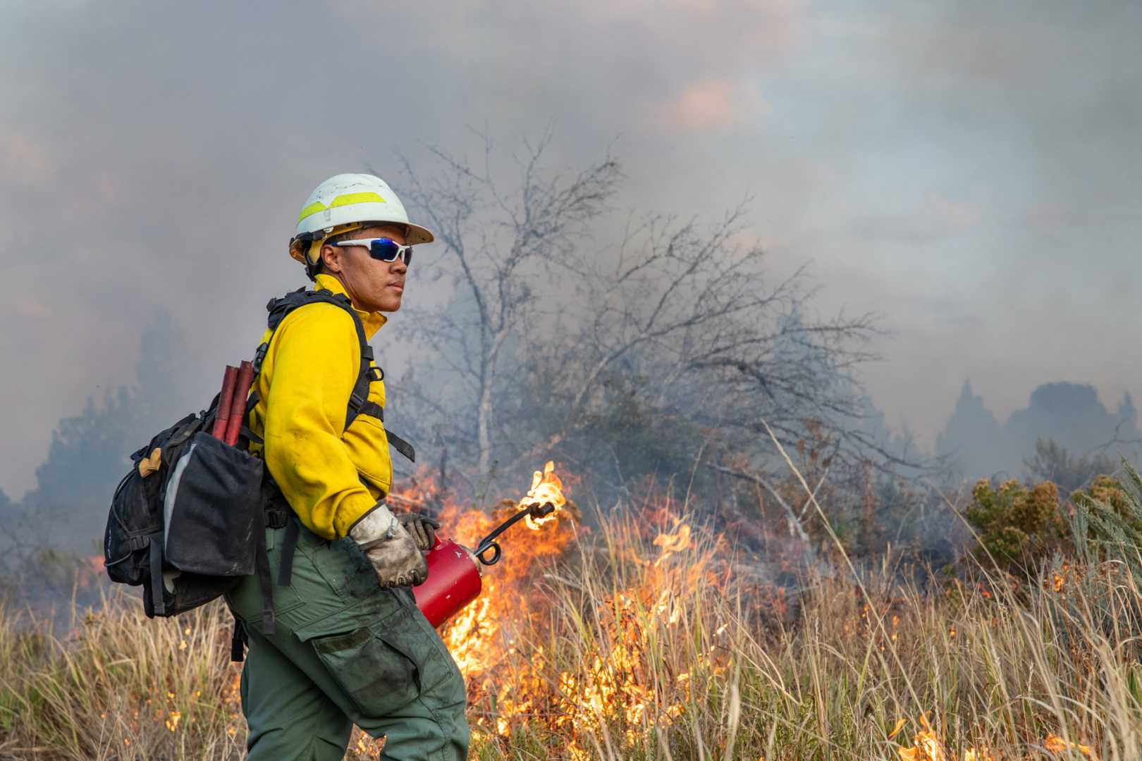 Seasonal wildland firefighter jobs california