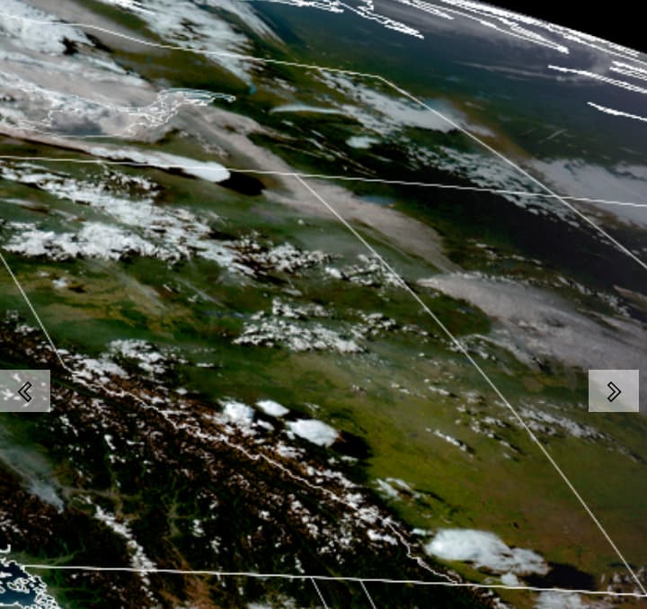 Screenshot_20250729-204956~2