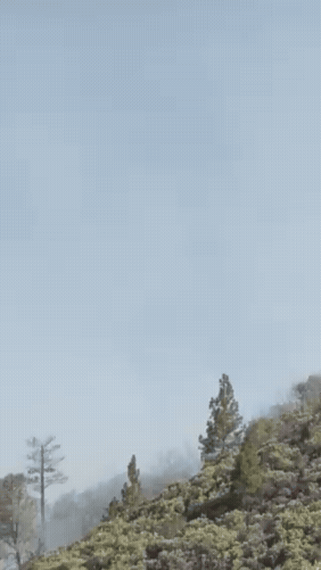 IMG_9933_under10MB.gif video 2