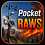 PocketRaws