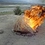 tumbleweed
